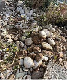 Sassi da giardino