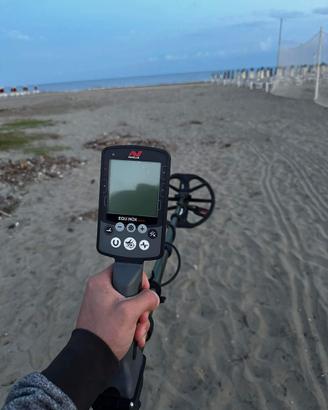 Minelab equinox 800