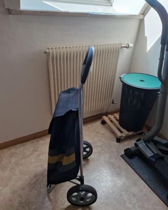 Grande carrello spesa
