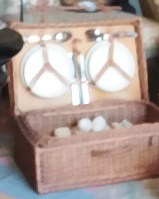 cestino Pic nic