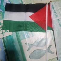 bandiere della palestina