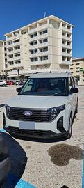 Ford Turneo Currier