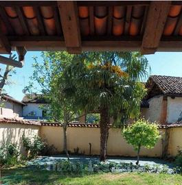 Albero palma da giardino