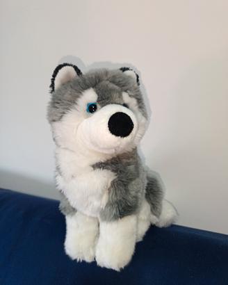 Peluche Cane trudi