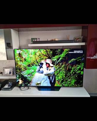 Tv LG OLED 65