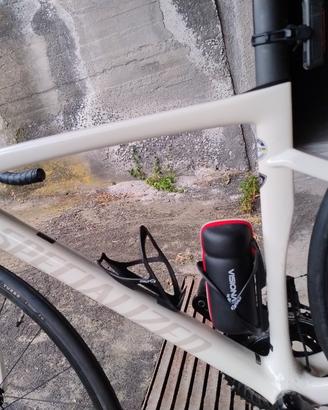 bdc specialized sl7 sport 2025