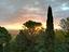 Immagine 18