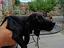 Immagine 3