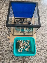 Acquario 40x40x40 piu accessori