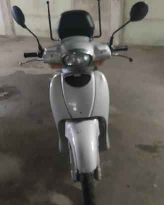 scarabeo 50