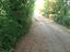 Immagine 3