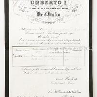 DOCUMENTI del REGNO d'ITALIA 1866-1910