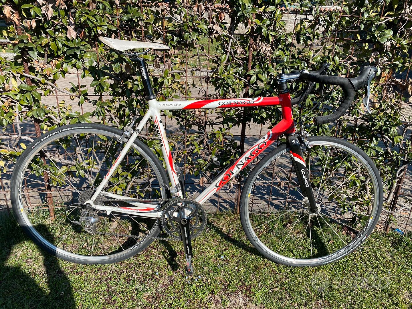 Colnago primavera best sale