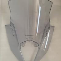 Cupolino per Kawasaki Ninja 650 ER6F