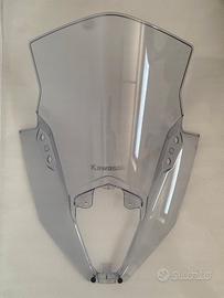 Cupolino per Kawasaki Ninja 650 ER6F