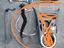Immagine 6