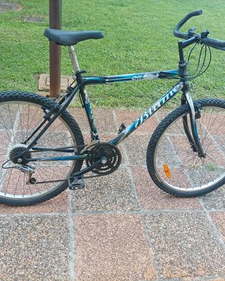 Mountain bike 26 pollici
