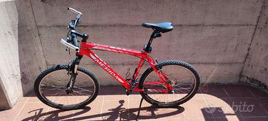 Bici mountain bike