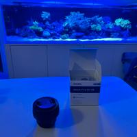 Sigma 56 mm f1.4 m4/3