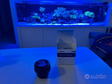 Sigma 56 mm f1.4 m4/3