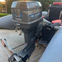 Motore fuoribordo johnson 115