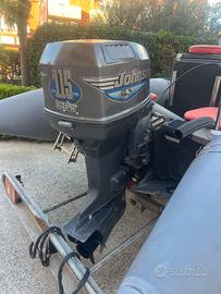 Motore fuoribordo johnson 115