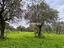 Immagine 7