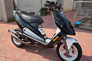 Malaguti phantom f12 LC digit twin disk