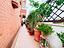 Immagine 18