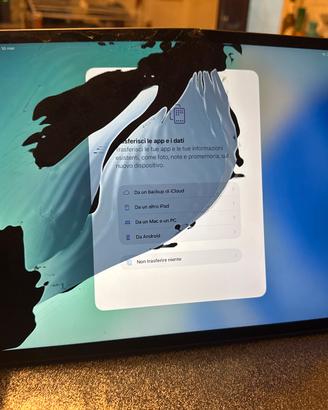 Ipad  12.9 quarta generazione