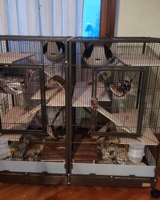 Gabbia roditori/uccelli Savic Tasmania 120+Arredi