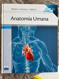 Libro anatomia umana martini