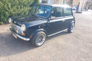 Mini 1.3 cat Cooper