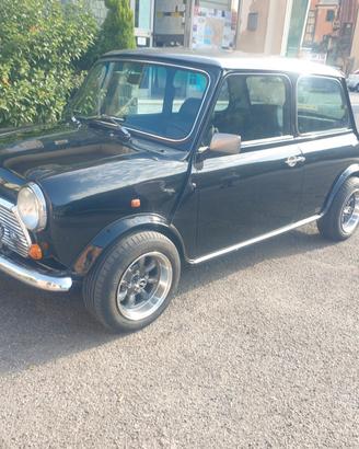 Mini 1.3 cat Cooper