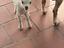 Immagine 2