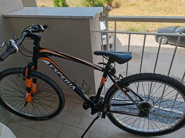 bicicletta