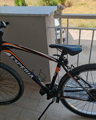 bicicletta