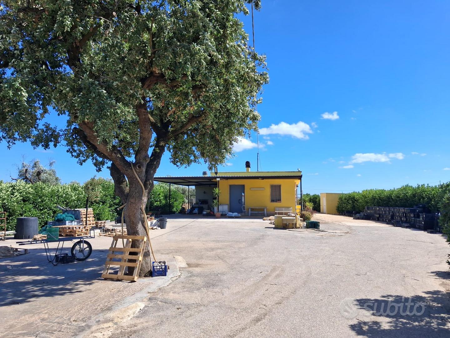 Azienda agricola avviata - Francavilla Fontana(br) - Vista 2
