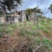 Rustico/Casale/Corte Liberi [Cod. rif 3279759VRG]