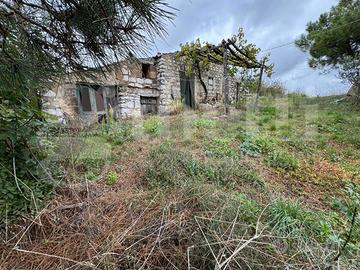 Rustico/Casale/Corte Liberi [Cod. rif 3279759VRG]