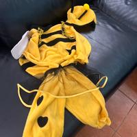 Vestito di carnevale di ape