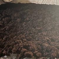 humus di lombrico orto, alberi, piante giardino