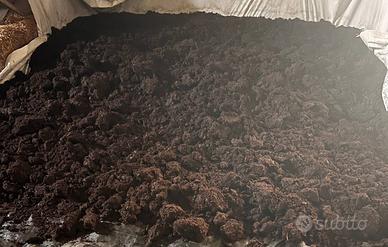 humus di lombrico orto, alberi, piante giardino