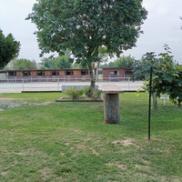 Pensione cavallo