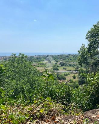 TER. AGRICOLO A GIARRE