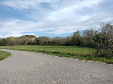 Lotti di terreno agricolo/boschivi di 11.000mq