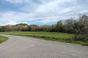 Lotti di terreno agricolo/boschivi di 11.000mq