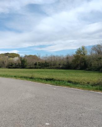 Lotti di terreno agricolo/boschivi di 11.000mq