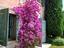 Immagine 23
