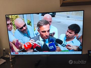 TV LG OLED48C55LA I GARANZIA